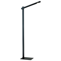 Reach Floor Lamp