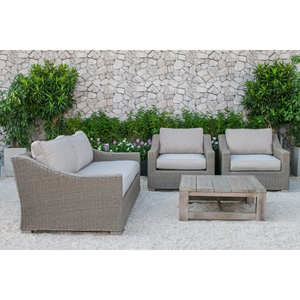 Renava Palisades 4 Pieces Outdoor Wicker Sofa Set - Beige 