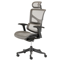 Modrest Franklin Office Chair - Black, Gray