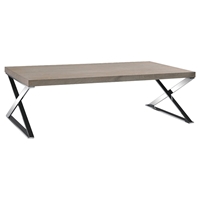 Modrest Rowlett Coffee Table - Chrome, Antique Ash