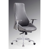 Modrest Chamber Modern Office Chair - Gray