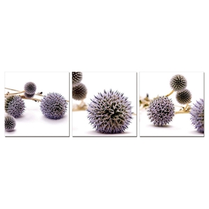 Modrest Thistle 3-Panel Photo on Canvas - Multicolor 