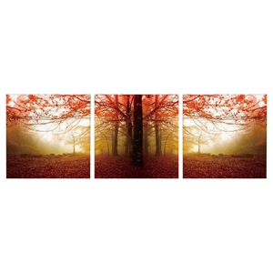 Modrest Autumn 3 Panels Photo on Canvas - Multicolor 