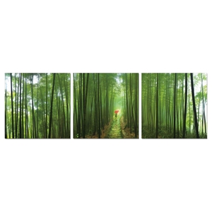 Modrest Forest 3-Panel Photo on Canvas - Multicolor 