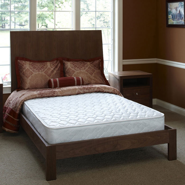 orthopedic queen bed